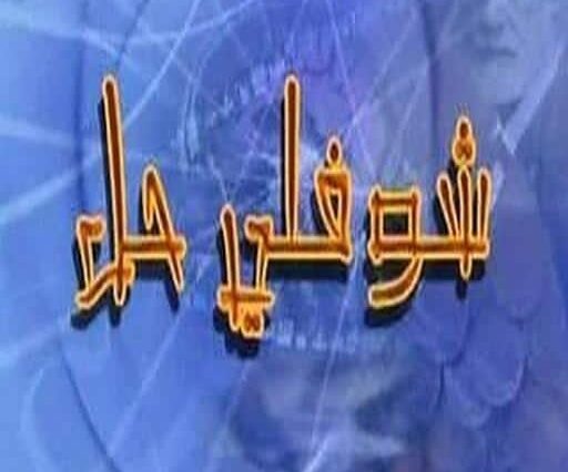 مسلسل شوفلي حل