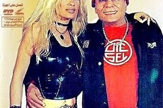 التجربة الدنماركية