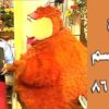 افتح يا سمسم – الحلقة  86