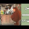 افتح يا سمسم – الحلقة  93