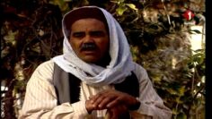 مسلسل الدوار – الحلقة العاشرة – الجزء الثاني