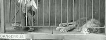 charlie-chaplin-in-the-lions-cage