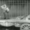 تشارلي تشابلن – قفص الأسد – مشهد كامل (السيرك ، 1928)