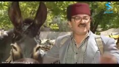 فيلم غوار والحمار