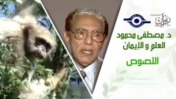 د. مصطفى محمود – العلم والإيمان – اللصوص